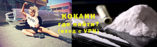 PSILOCYBIN Аркадак