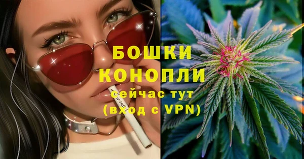 PSILOCYBIN Аркадак
