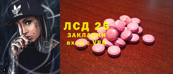 прущие грибы Алзамай
