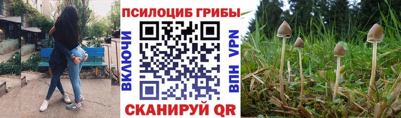 Псилоцибиновые грибы Magic Shrooms  мега сайт  Боготол 