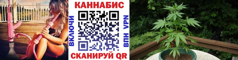 даркнет сайт  Боготол  кракен рабочий сайт  Марихуана Amnesia 